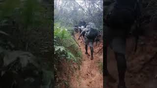 Imbube Nature Tours U0026 Wilderness Trails