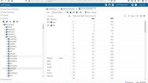 Chapter 2 - Basics Concepts:  Basics of SAS Language