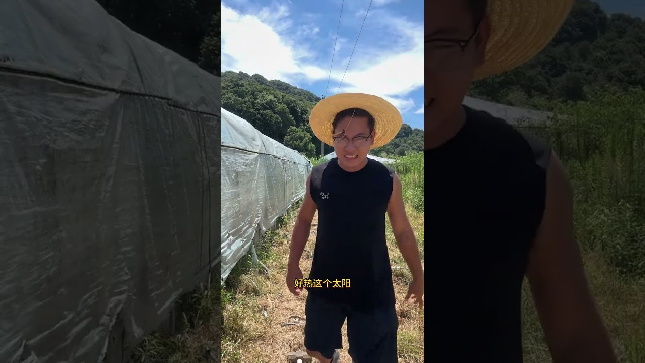 回村养他个10000只鸡！干 为了防止再次被鸡棚带着起飞，重新加固地锚。今天吃上了富贵姐亲手包的饺子，狗狗也吃上了饭#返乡创业新农人 #生活不会辜负每一个努力的人 #我的乡村生活  #鸡小邵 #00