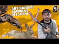 Mes serpents mangent des lapins   reptistore