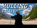 Pin bhabha trek in june  mulling valley  himachal