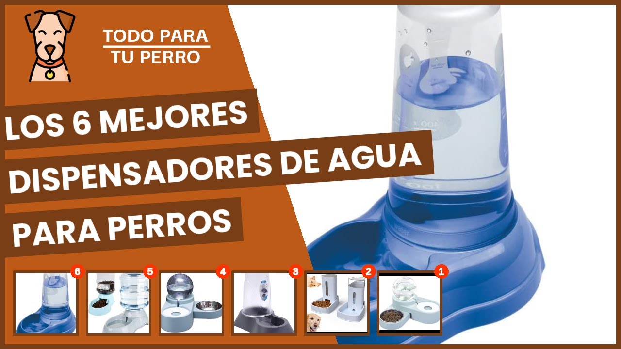 Los 6 mejores dispensadores de agua para perros 