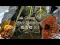 Rice Dumplings 101 | Zongzi | Hokkien Bak Chang Recipe | Glutinous Rice Dumplings | 做粽子 咸肉粽 福建肉粽 端午节