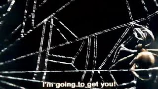 Charlotte web 2 and terrific fireworks scene