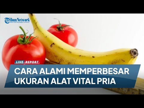 6 CARA ALAMI MEMPERBESAR UKURAN ALAT VITAL PRIA