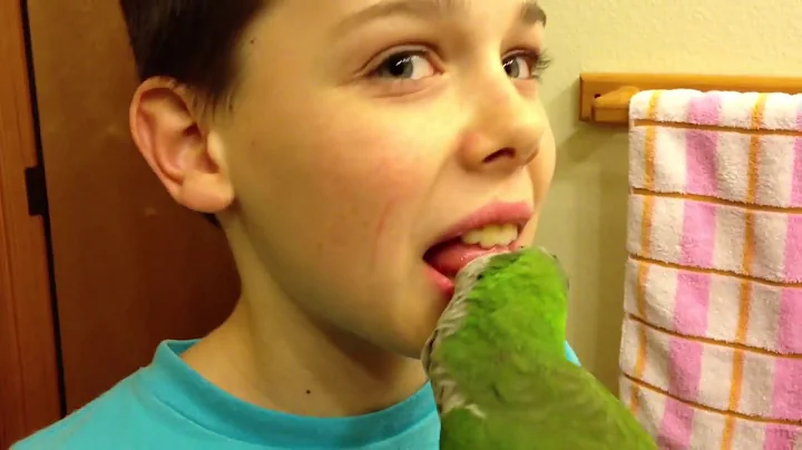 Parrot Pulls out Boy's Tooth | Crazy Tooth Extraction