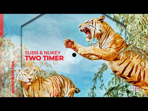 SUBB & NuKey ? Two Timer (Official Audio)