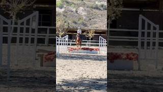 At least we were somewhat successful today!!! #NEO #horse #equestrian #equestrianjourney