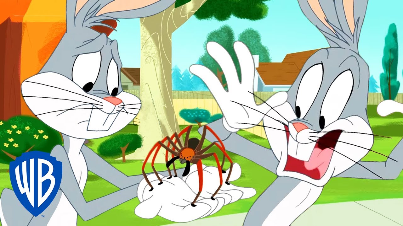 Looney Tunes | Are You Afraid of Spiders? | WB Kids