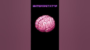 Что делает Python при запуске кода #python #программирование #работавайти