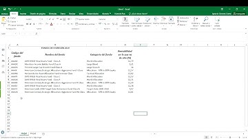 Excel 2: Imagen Vinculada