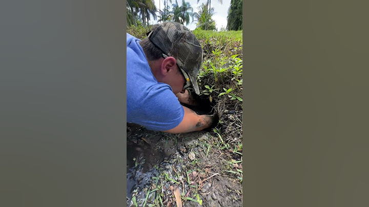 LOOK WHAT WE FOUND IN THIS DARK MUD HOLE