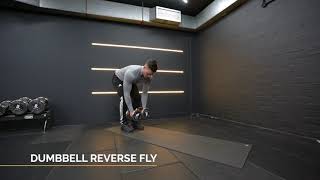 DB Reverse Fly | Optimum Whealth
