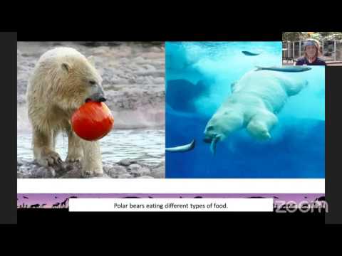 Detroit Zoo | Educational Lesson: Herbivore, Carnivore or Omnivore?