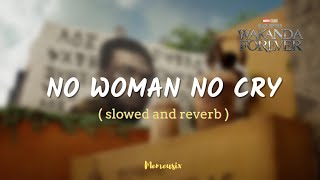 No Woman No Cry Slowed And Reverb - Tems Black Panther Wakanda Forever Prologue