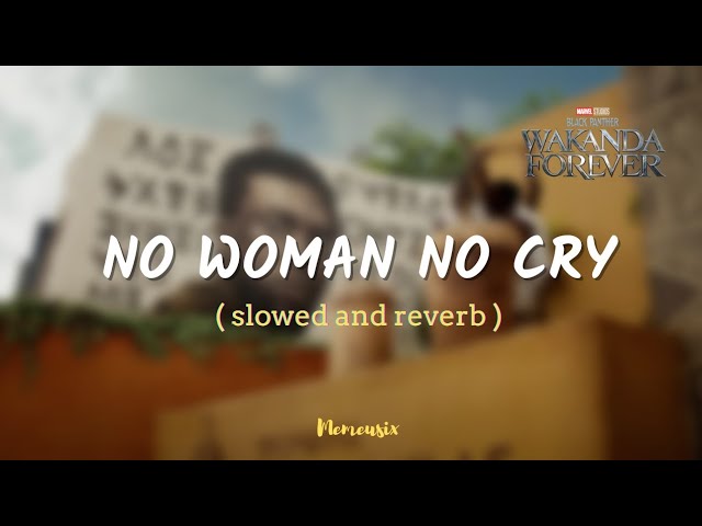 No Woman No Cry ( Slowed and Reverb ) - Tems || Black Panther: Wakanda Forever Prologue