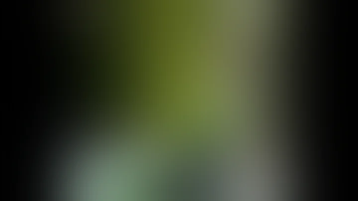 Arif Vladi- Jam Kosova e Shqiptarisë