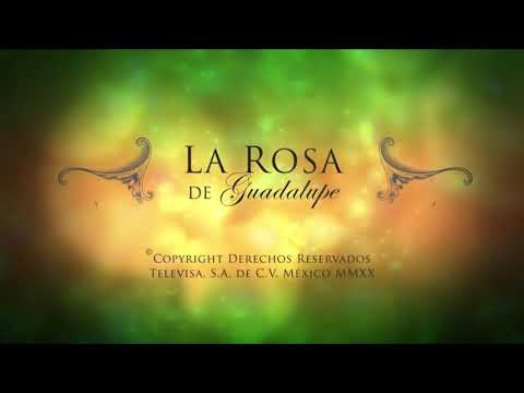 La Rosa de Guadalupe 2020 'las horas muertas' (parte 1)