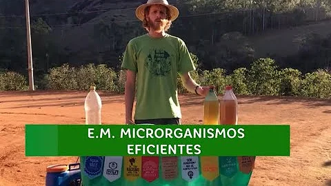 Onde utilizar os microrganismos eficientes?
