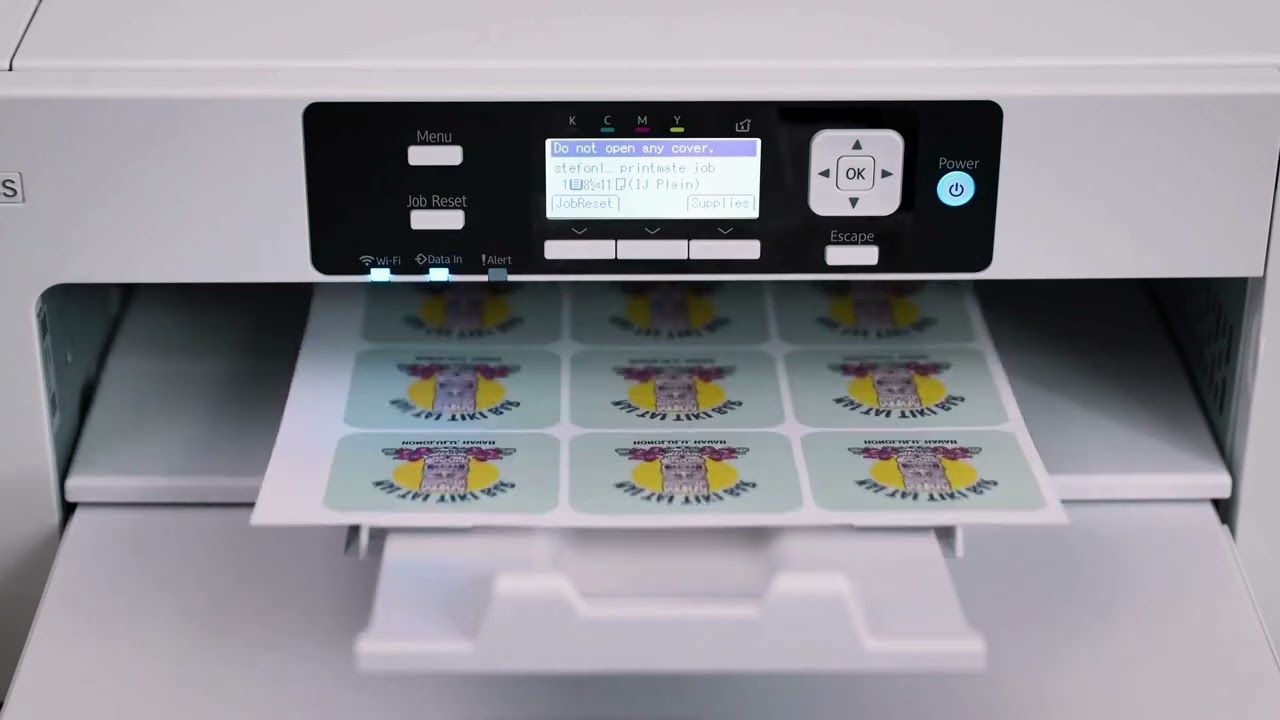 Sawgrass SG500 & SG1000 Sublimation Printer Bundle