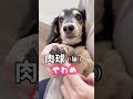 二郎系ラーメンっぽく注文してみた。
