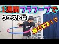 【検証】１週間フラフープをやると【くびれ】はできる！？