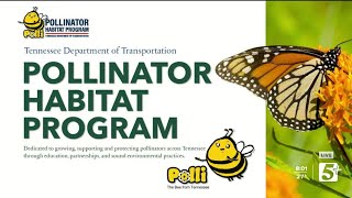 MorningLine: TDOT Pollinator Habitat Program pt1