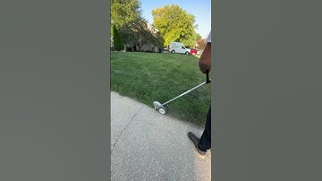 ECHO EDGER | #shorts #lawn #lawncare