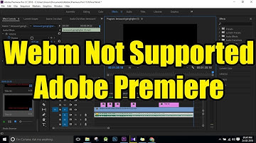 [Solved] Webm Video File Format Not supported in Adobe Premiere Pro