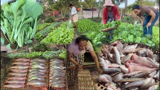 ទំនេរពីរស្រែទៅរកត្រី ធ្វើប្រលាក់ទុក នឹងឆ្អើរ នឹងបន្លែក្បែរផ្ទះបានប្រមូលផលហើយ ល្អណាស់