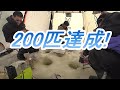 2020 2,9 ワカサギ釣り第4弾 茨戸川