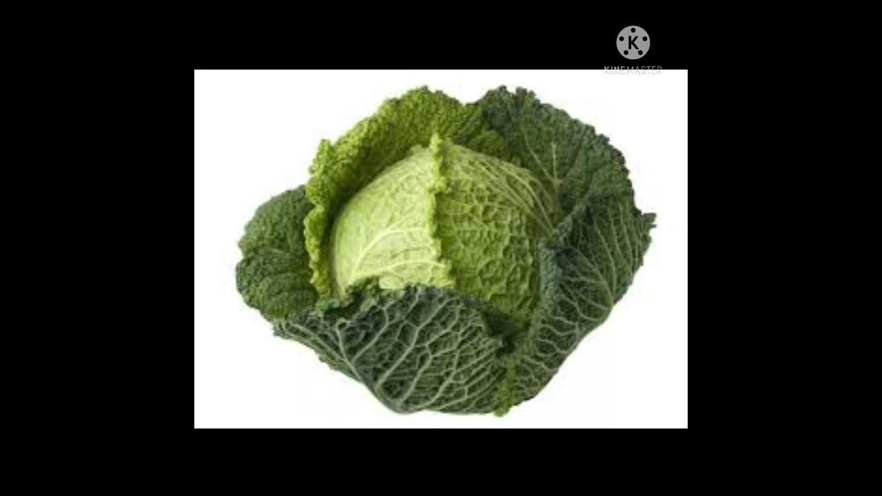 cabbage benefits in Urdu aur iss se bimari ka ilaj YouTube