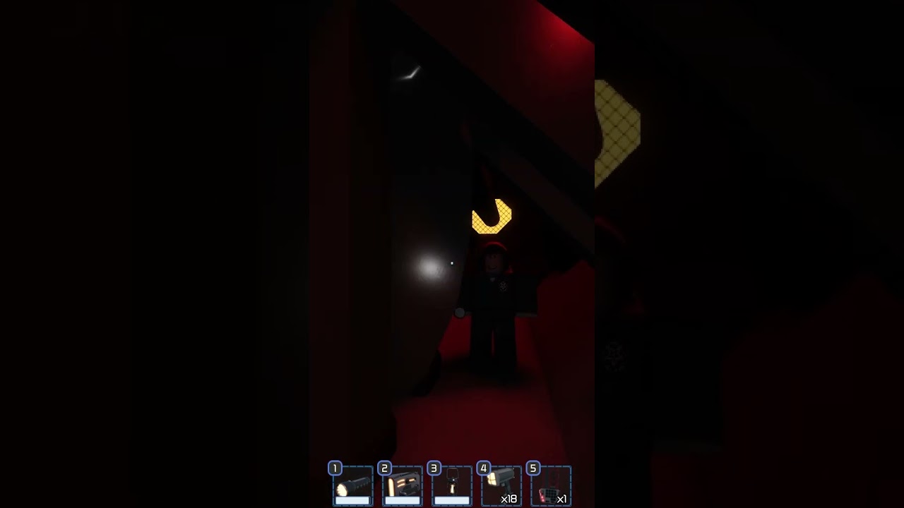 They In Fact Did not Know How