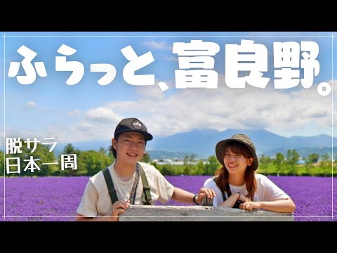 【北海道の夏】満開のラベンダー畑と青い池。