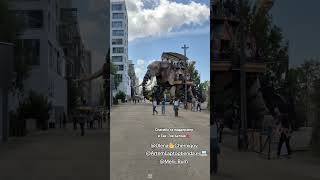 Жилье во Франции и гигантский слон