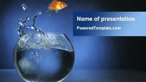 Aquarium Fish is Jumping PowerPoint Template by PoweredTemplate.com