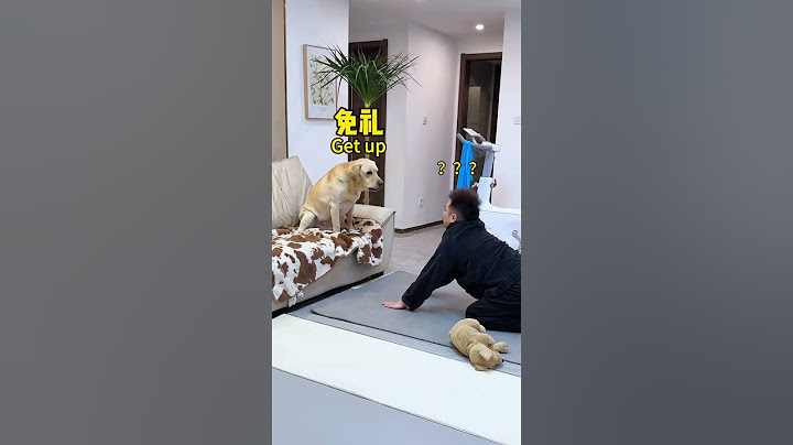 【旺仔很忙🐶wangzai is busy】没想到简单做个拉伸竟然被狗子占了便宜I didn't realize that I would be taken advantage of by dog