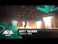 Amy Shark: I Said Hi | 2018 ARIA Awards Mp3