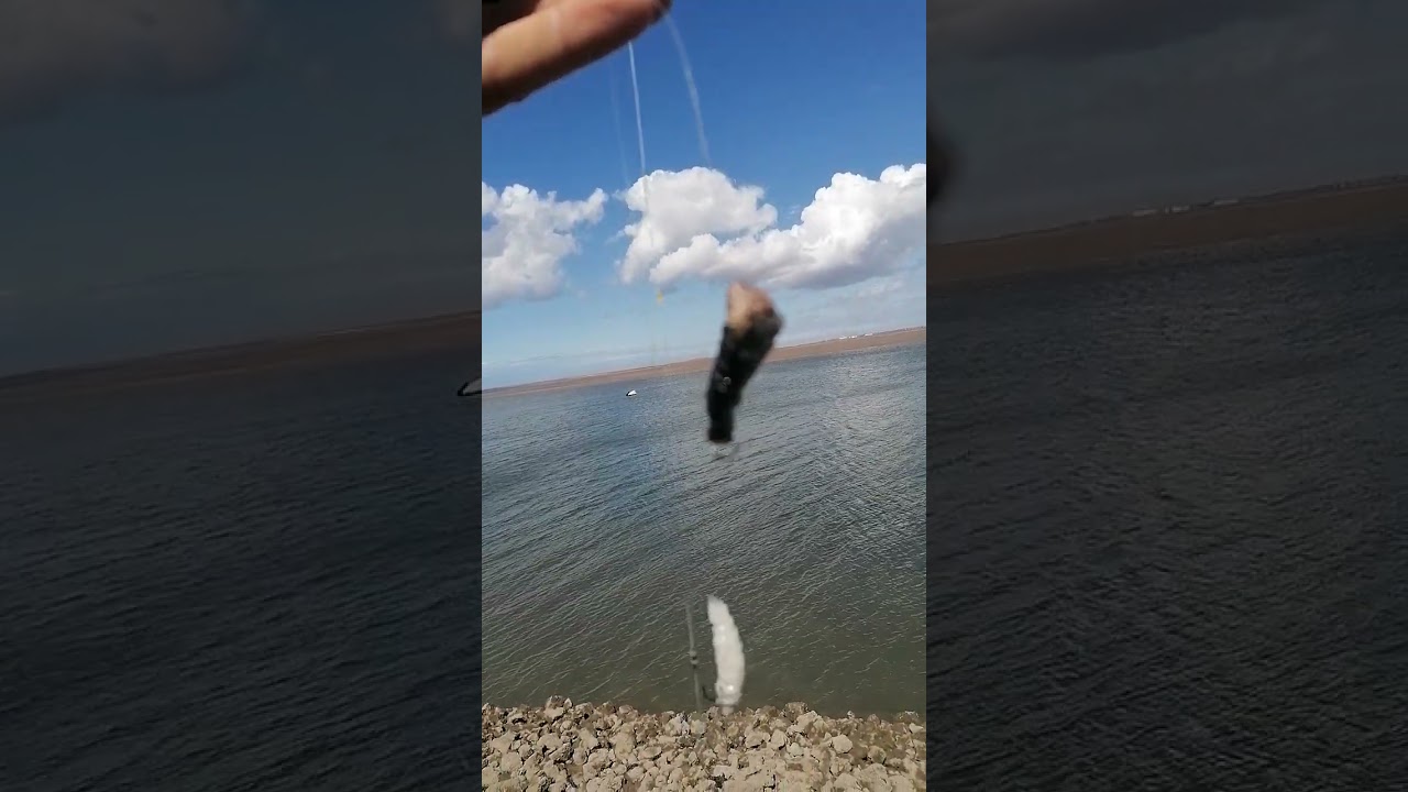 sea fishing 2 hook flapper rig  