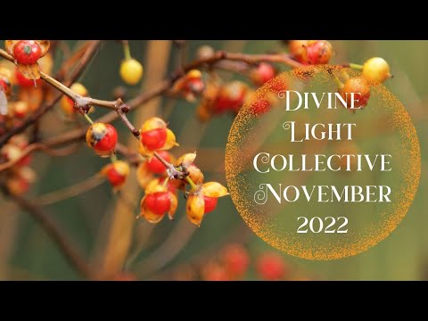 Divine Light Collective ✨ November 2022