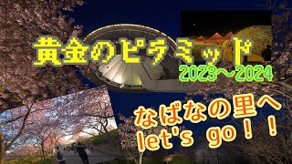 【HDR】なばなの里で河津桜とイルミネーション撮影のリハビリしました！HEY(黄金のピラミッド)2023〜2024