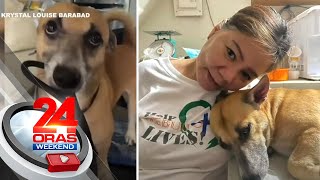 Aspin Na Pagiging Clingy Ang Malu-Pet Na Teknik Para Makagala, Kinaaliwan Online 24 Oras Weekend