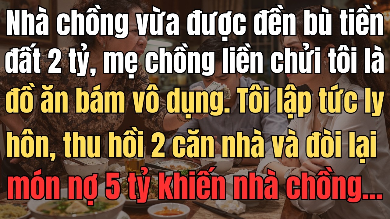 Nhà Chồng Vừa Được Đền Bù Tiền Đất 2 Tỷ, Mẹ Chồng Liền Chửi Tôi Là Đồ Ăn Bám Vô Dụng. Tôi Lập Tức Ly