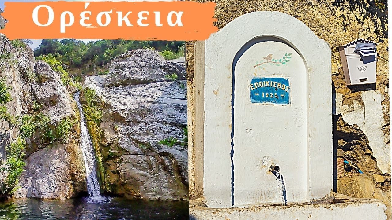 Ορέσκεια - Δάφνη