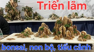 Rất ấn tượng với những tác phẩm bonsai non bộ tiểu cảnh trong triển lãm ở giang tô trung quốc 