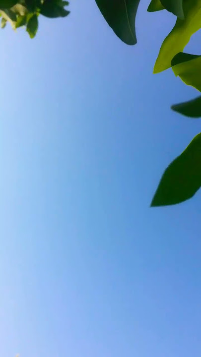 Footage video tiktok mentahan tak segampang itu #shorts