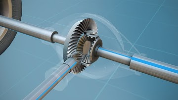 12 - Manual Drive Trains and Axles (Final Drives & Drive Shafts)