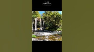 Surah Al-Fatiha Repeated | Relaxing Quran Voice سورة الفاتحة مكررة | بصوت هادئ يريح القلب