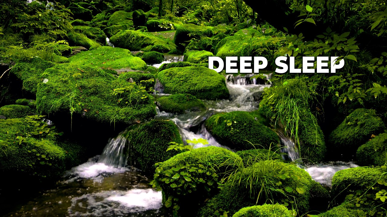 Forest Stream Close to Mossy Rocks 🌿 Gentle Water Sounds for Deep Sleep & Insomnia Relief 5 Hours