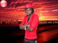 Tnez  enjoy mi life quick fix riddim payday music  april 2011